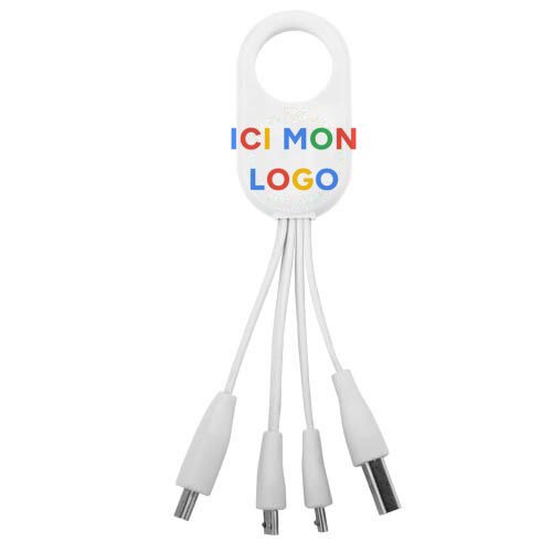 Câble USB multi ports type C 4 en 1 Troup