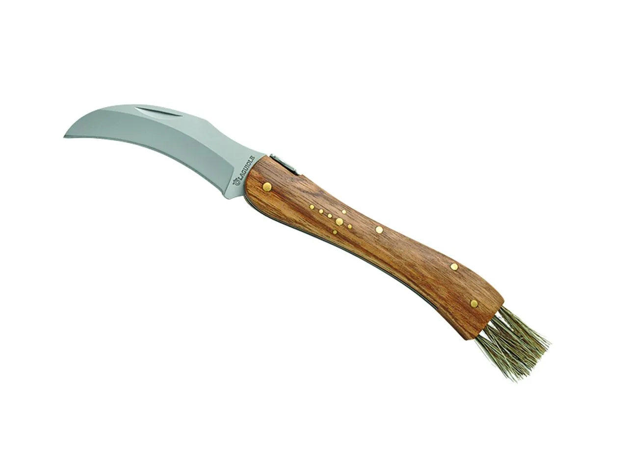 Vue 4 de Couteau à champignon 'Laguiole'