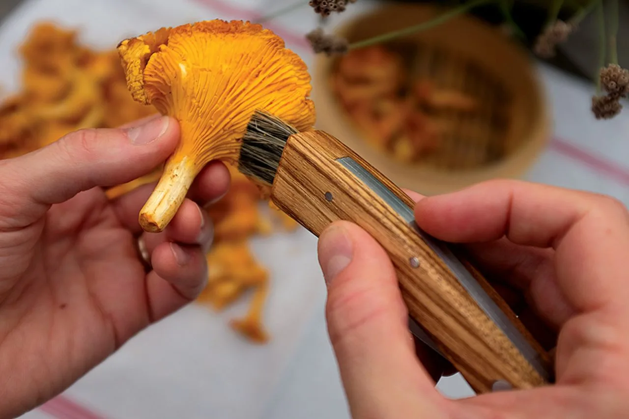 Vue 3 de Couteau à champignon