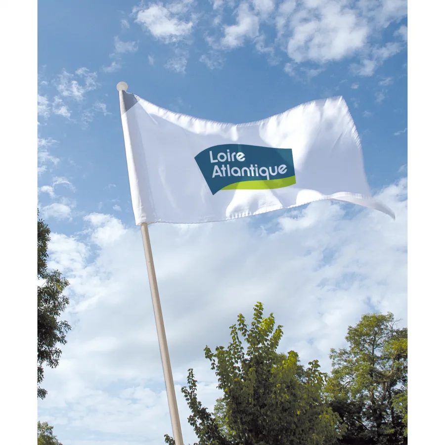 Vue 5 de Drapeau blanc