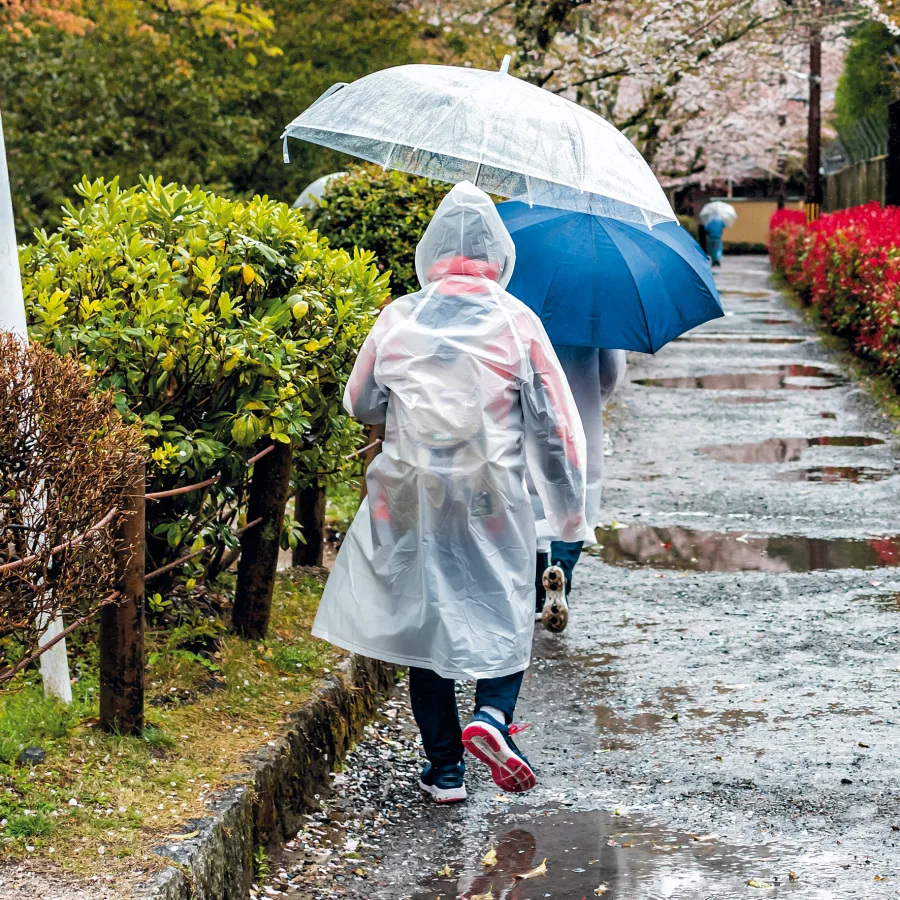 Vue 5 de Poncho de secours