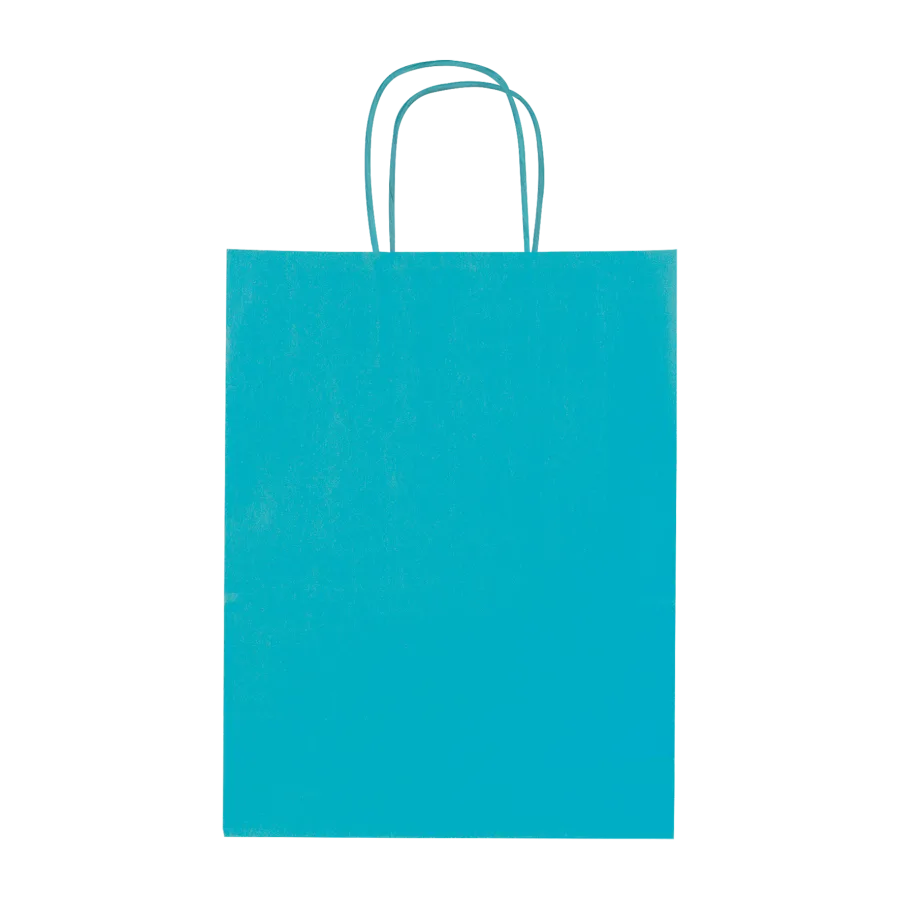 Sac kraft couleur 8l