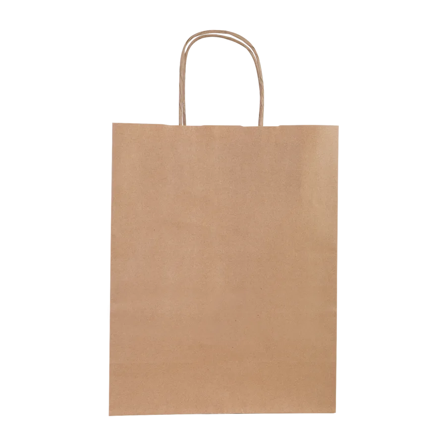 Sac kraft 10l