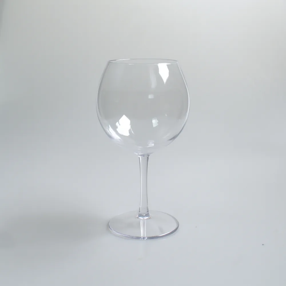 Vue 2 de Verre à vin Piscine en Tritan