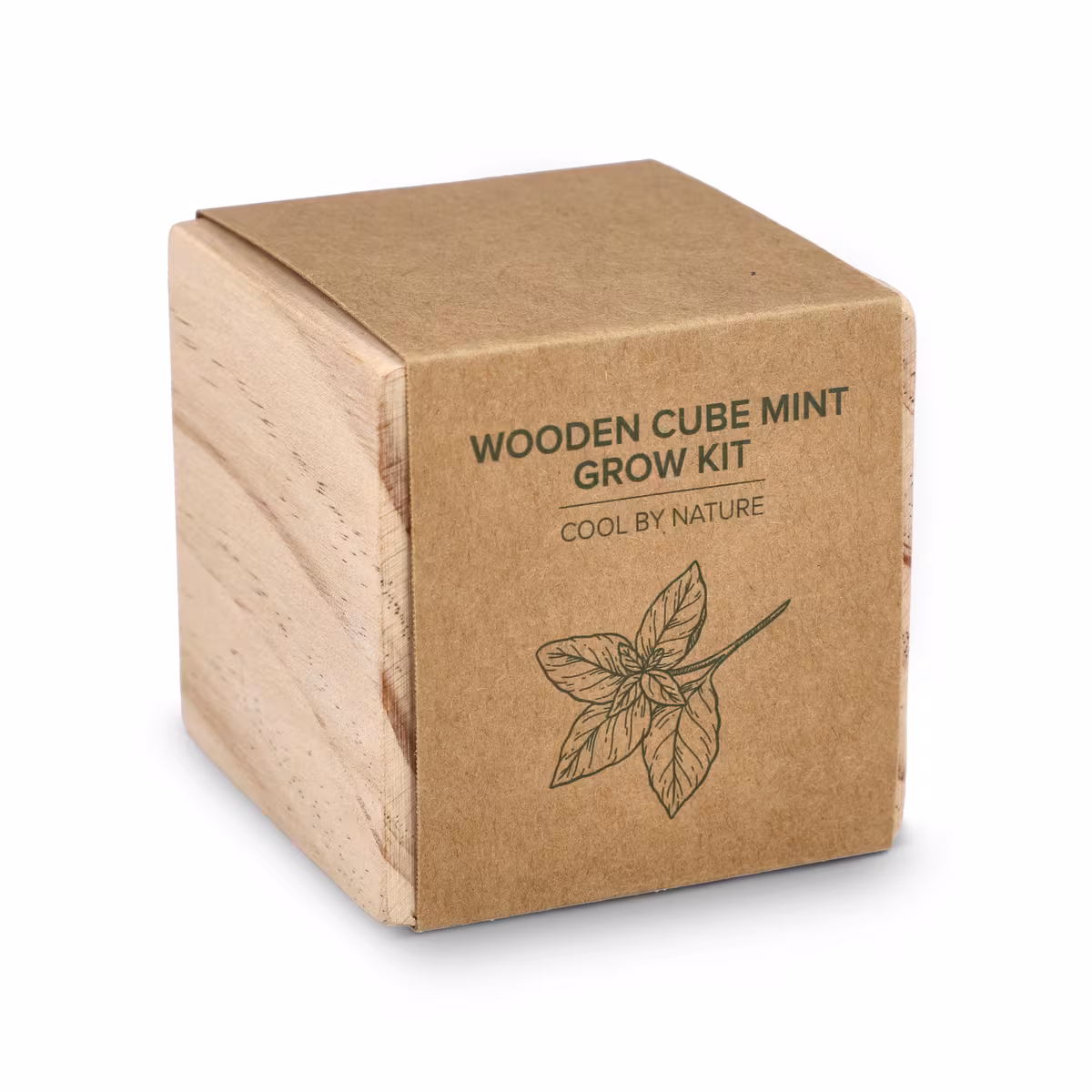 Ensemble de jardinières en bois FSC – Menthe