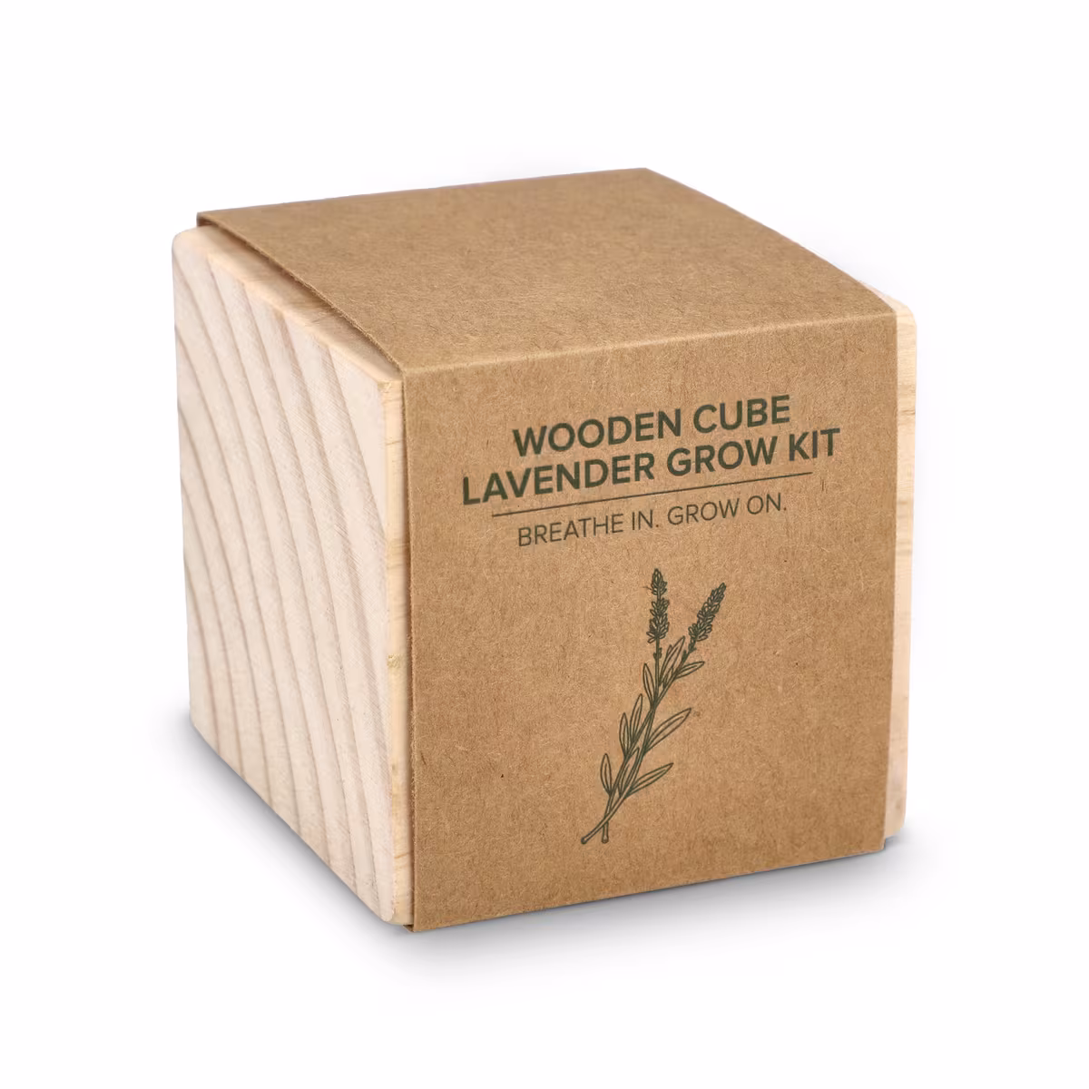 Ensemble de jardinières en bois FSC – Lavande