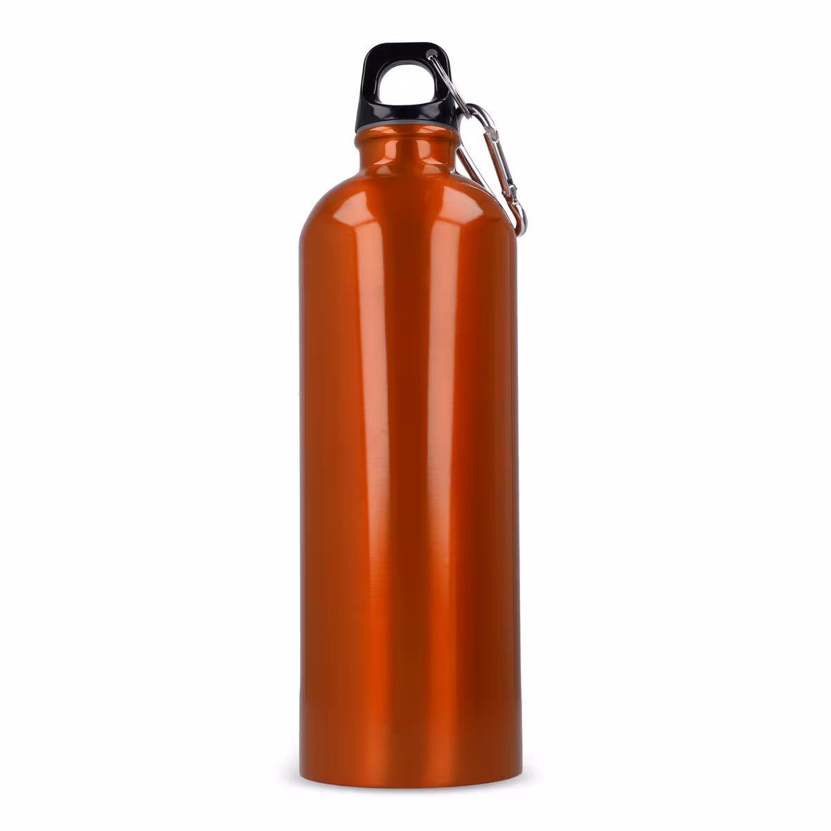 Vue 2 de Bouteille à simple paroi R-SS avec mousqueton 750ml