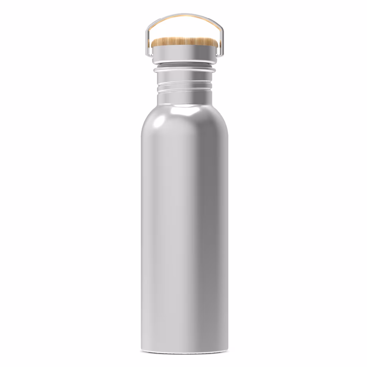 Bouteille à eau Ashton 750ml