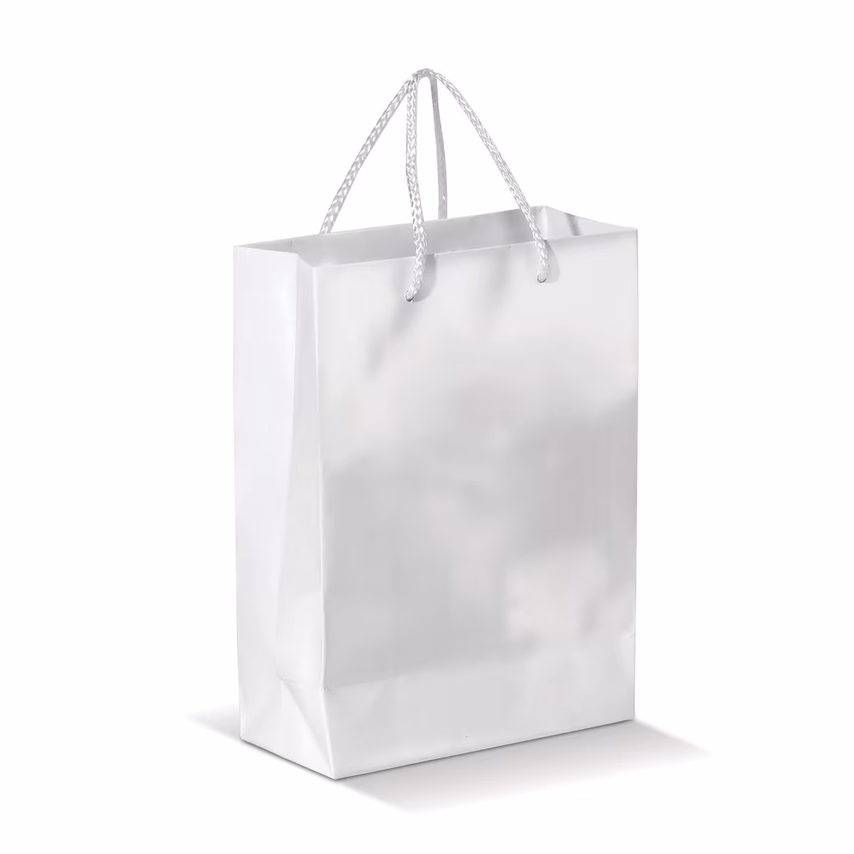 Vue 1 de Sac papier Grand