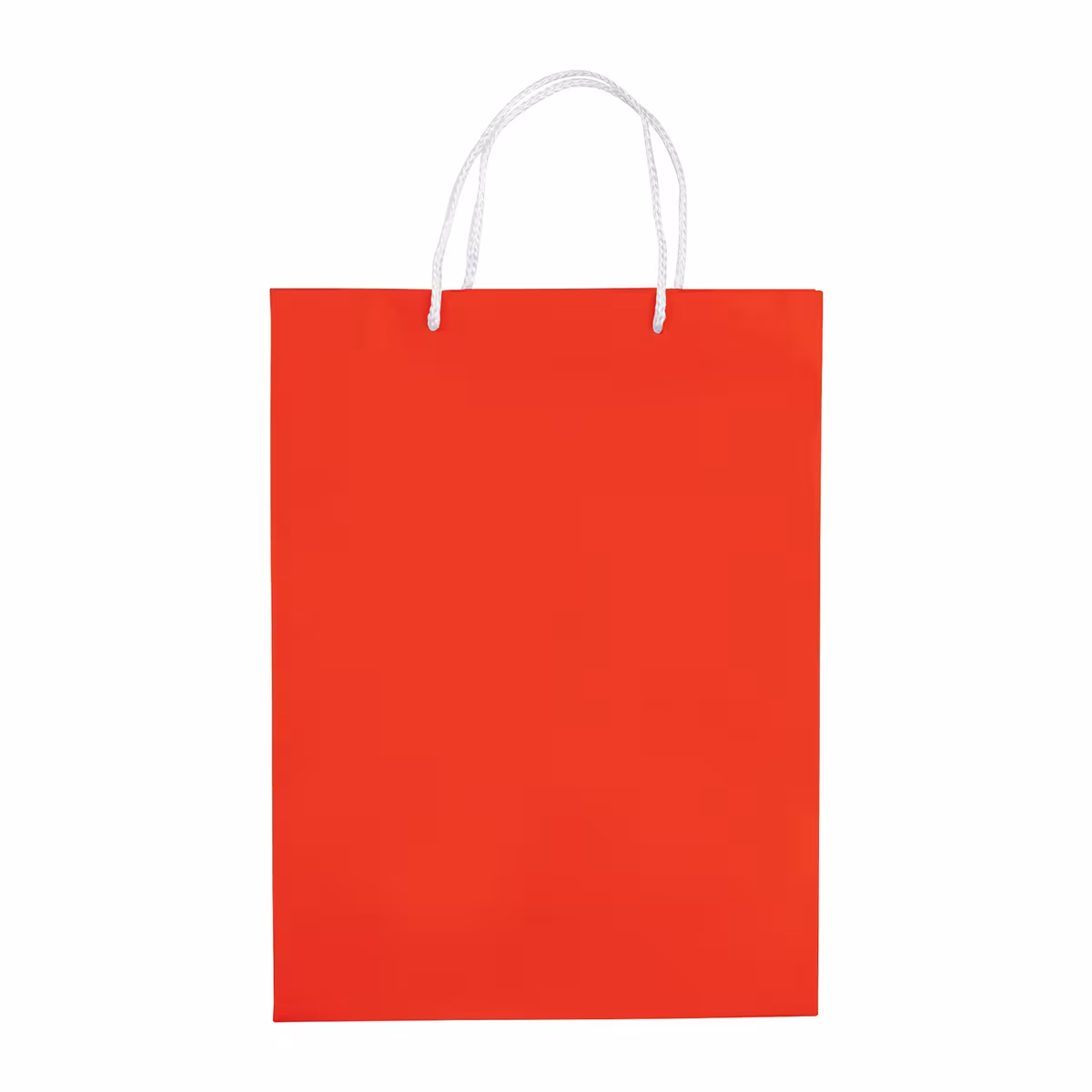 Vue 12 de Sac papier Grand
