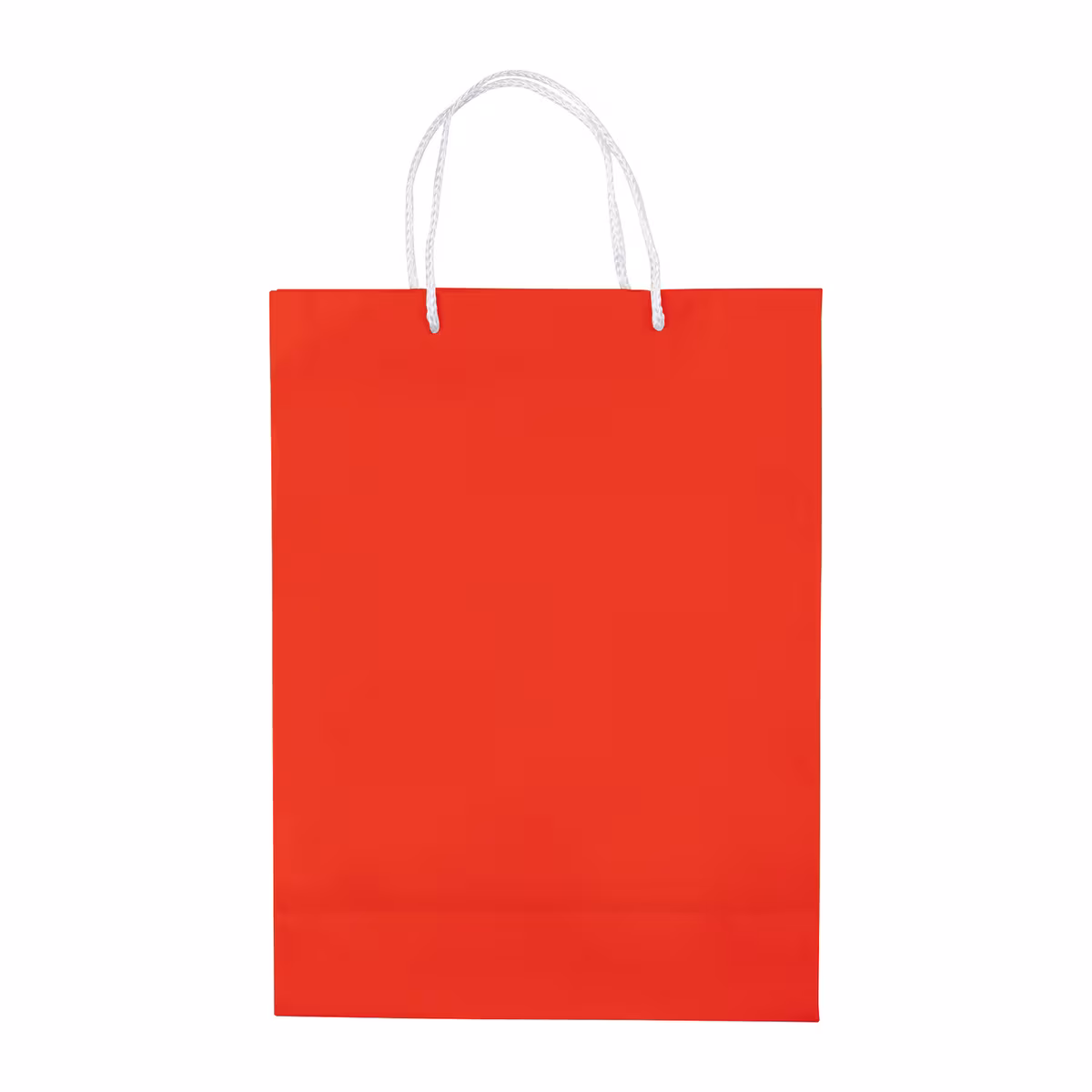 Vue 13 de Sac papier Grand