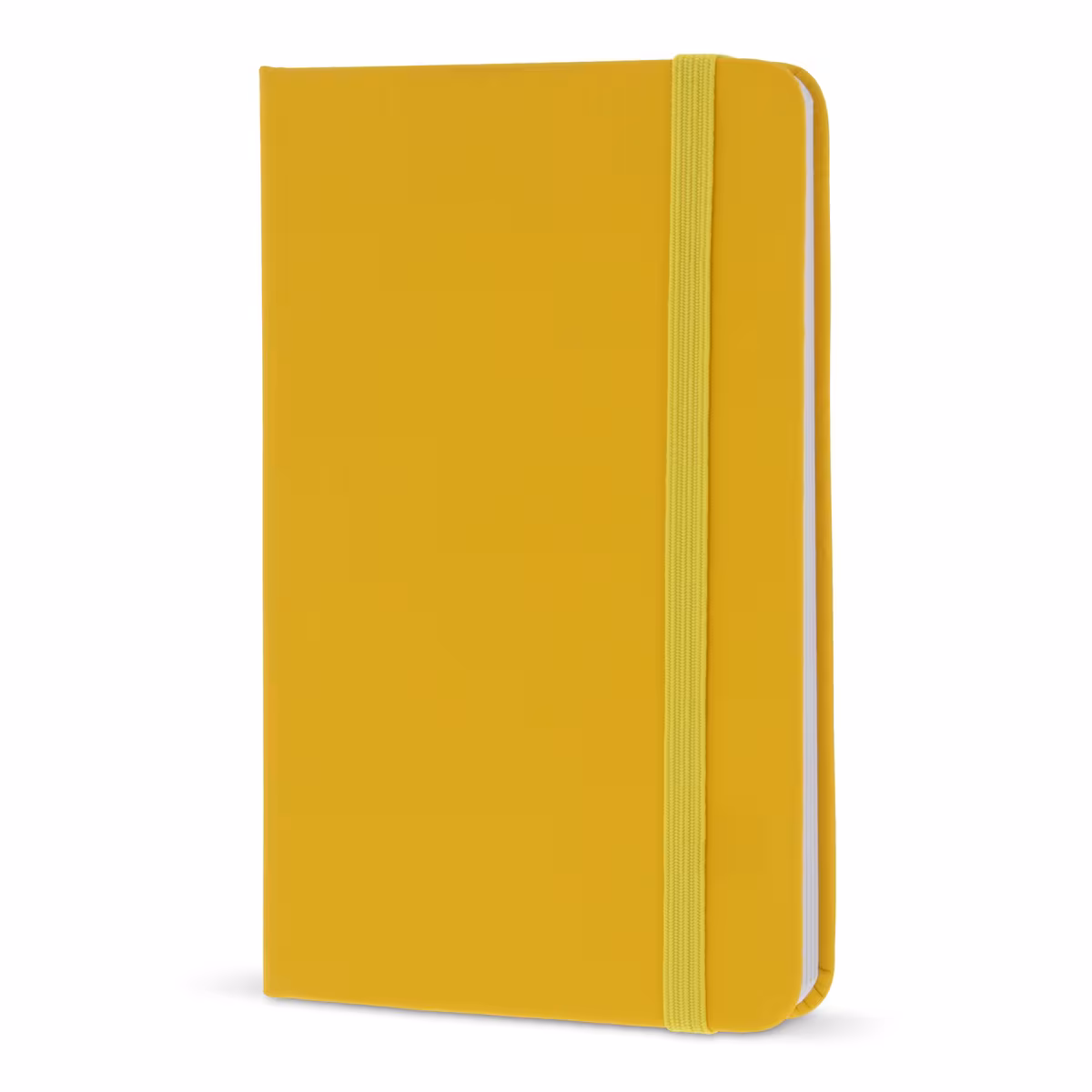 Vue 12 de Carnet A6 en PU
