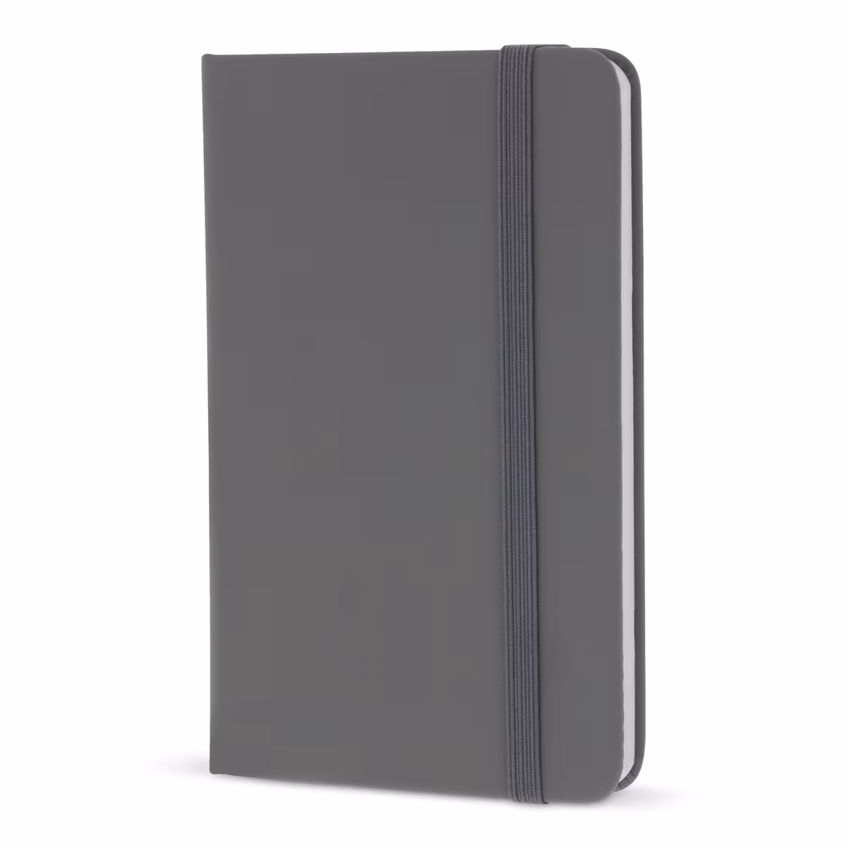 Vue 14 de Carnet A6 en PU