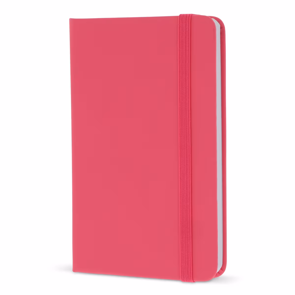Vue 16 de Carnet A6 en PU