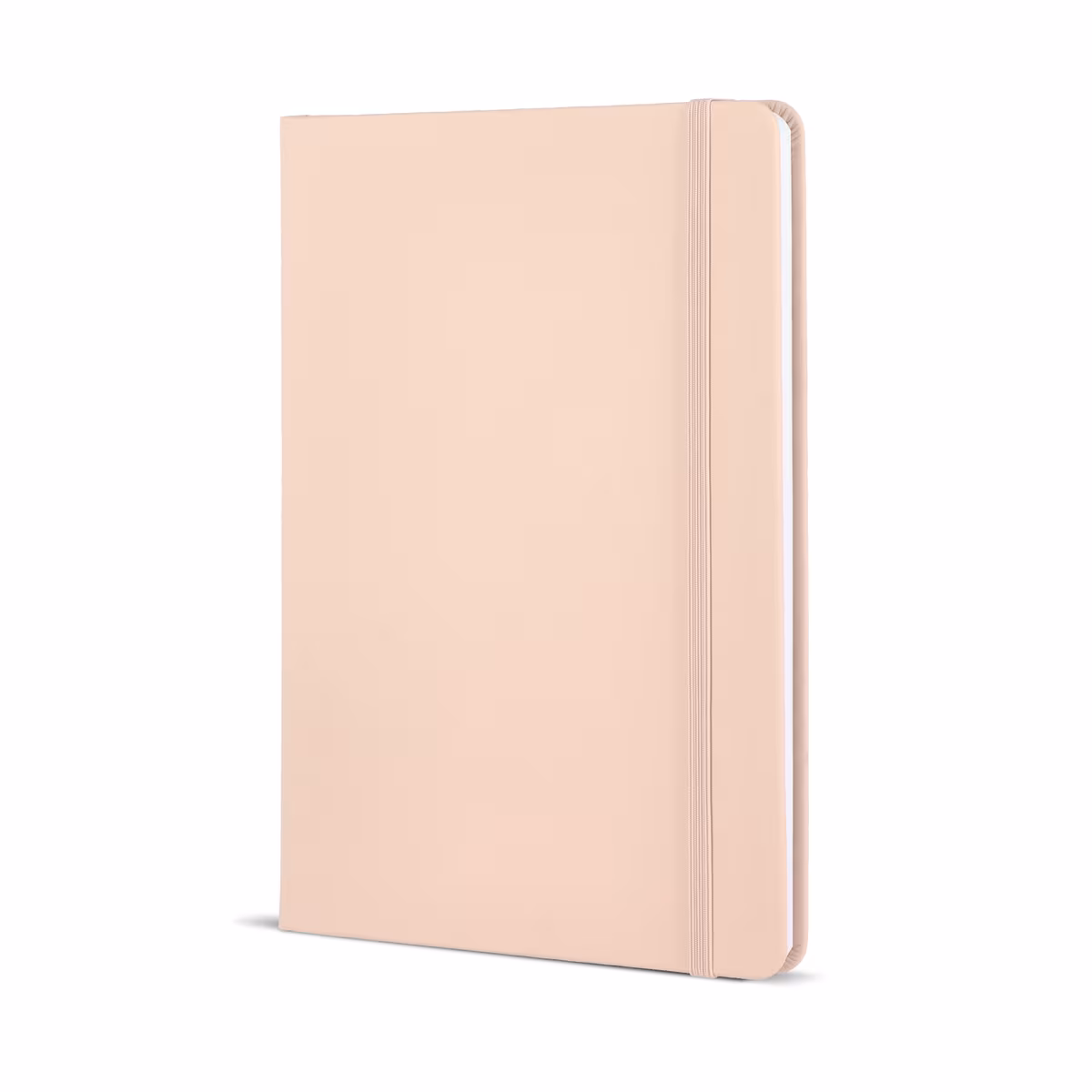 Vue 13 de Carnet A5 en PU