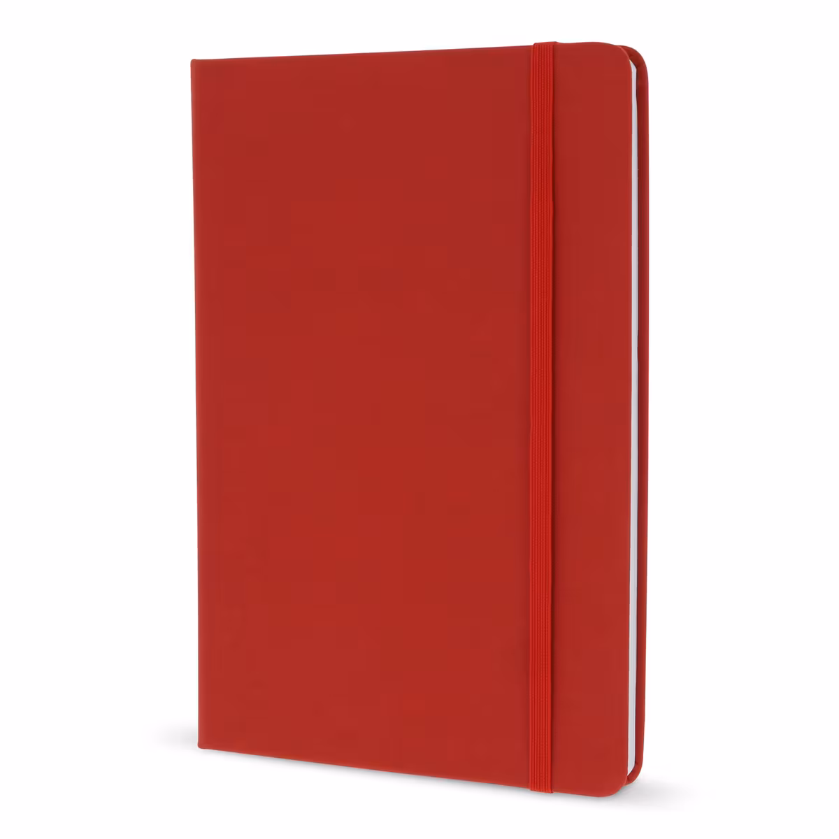 Vue 17 de Carnet A5 en PU