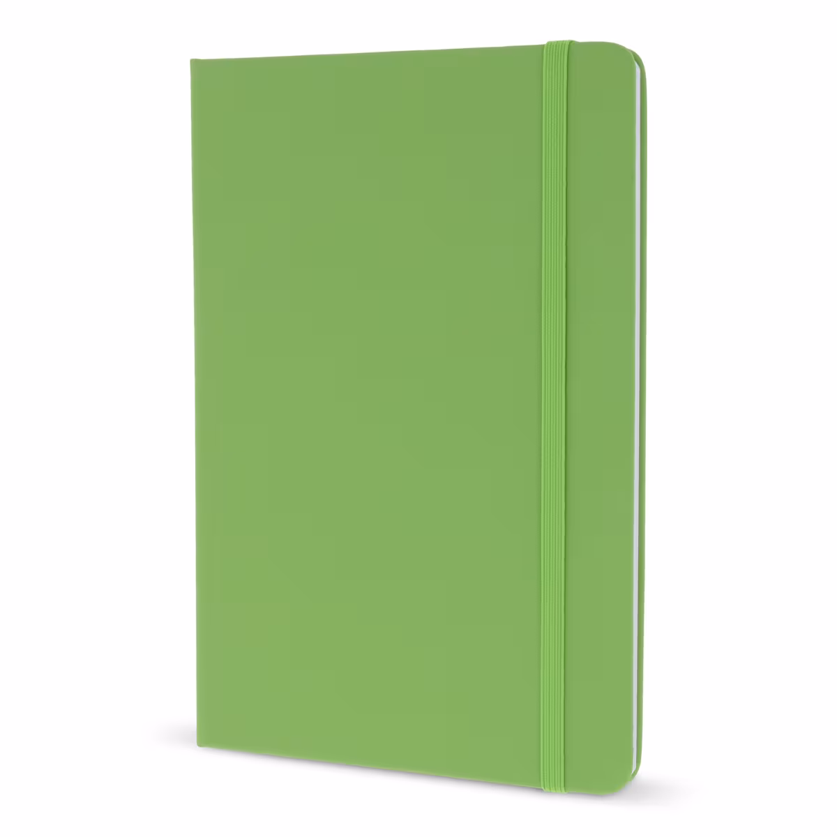 Vue 24 de Carnet A5 en PU