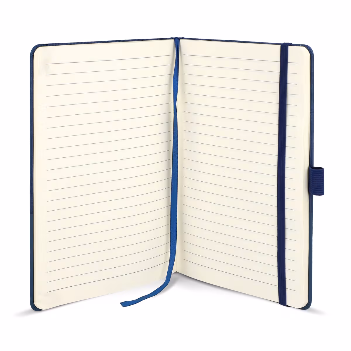 Vue 15 de Carnet de notes en cuir thermo A5