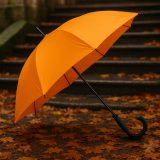 Vue 4 de Parapluie golf SING'IN
