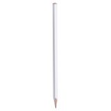 Vue 2 de Crayon Latir