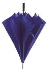 Vue 3 de Parapluie Panan