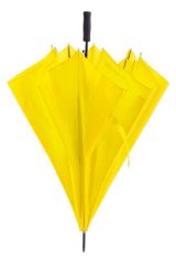 Vue 2 de Parapluie Panan