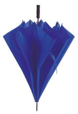 Vue 4 de Parapluie Panan