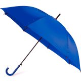 Vue 3 de Parapluie Toric