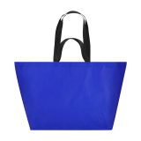 Vue 2 de Sac Torvik