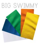 Vue 1 de Big Swimmy