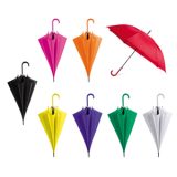 Vue 1 de Parapluie Toric