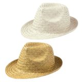 Vue 1 de Chapeau Mestral