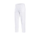 Vue 2 de PANTALON EN COTON