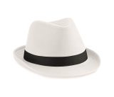 Vue 4 de FEDORA
