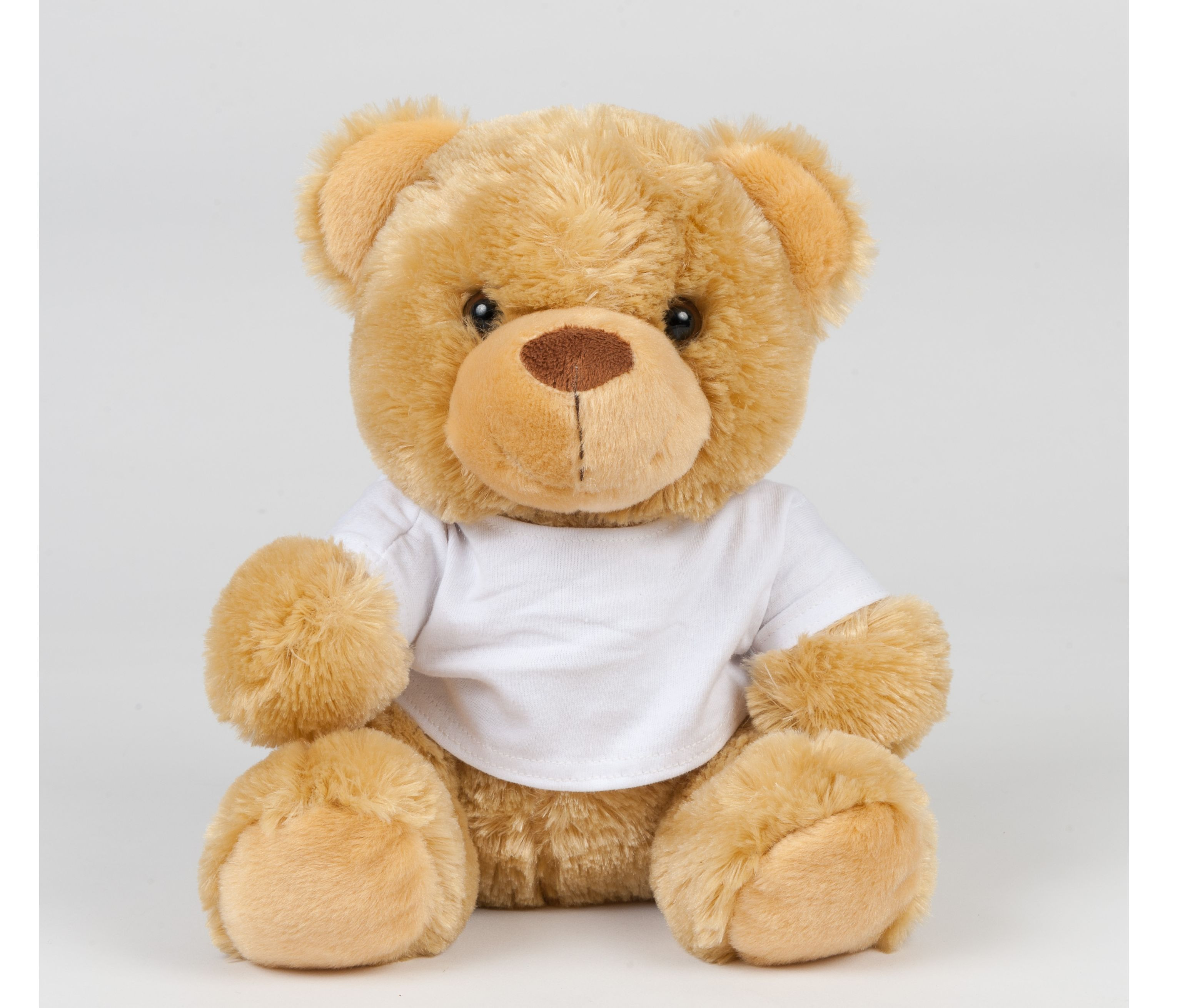 BEAR IN A T SHIRT
