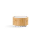 Vue 2 de Enceinte Einstein en bambou et rABS,400mAh Autonomie jusqu’à 3h,3W