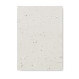 Vue 3 de SEED BOOK