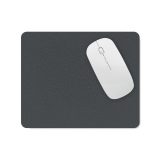 Vue 2 de BETA