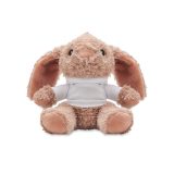Vue 3 de BUNNY