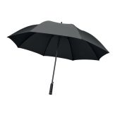 Vue 2 de LLUVIA