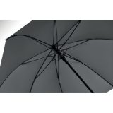 Vue 6 de LLUVIA