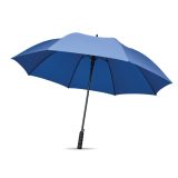 Vue 2 de LLUVIA