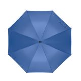 Vue 6 de LLUVIA