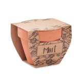 Vue 3 de MINT POT