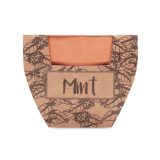 Vue 2 de MINT POT