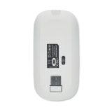Vue 2 de CURVY C