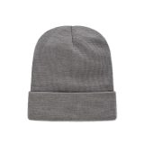 Vue 3 de CAPNIT