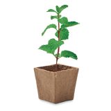 Vue 3 de MINT KIT