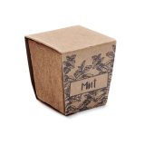 Vue 8 de MINT KIT