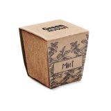 Vue 5 de MINT KIT